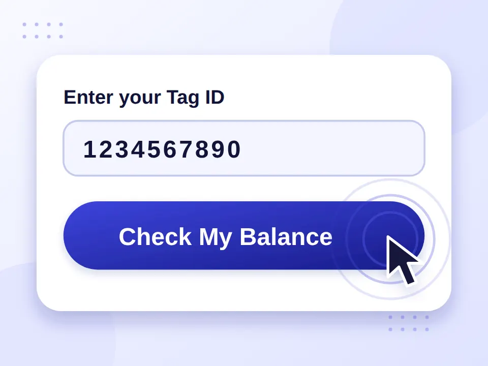 Home 7 Clicking the Check My Balance button